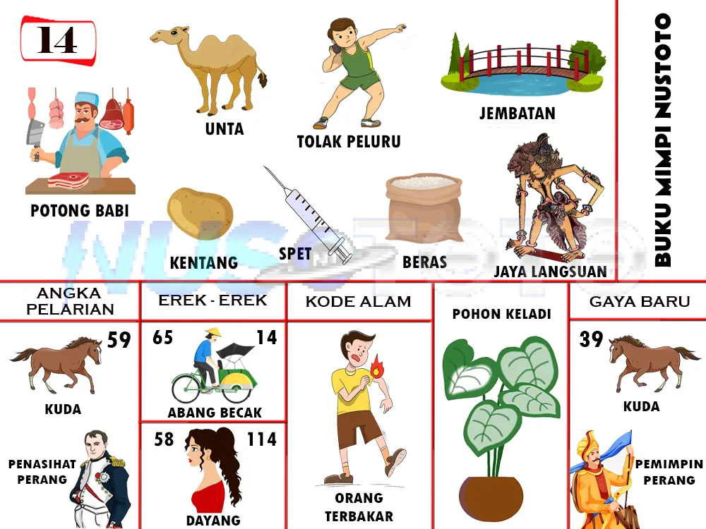 buku mimpi erek erek togel 14