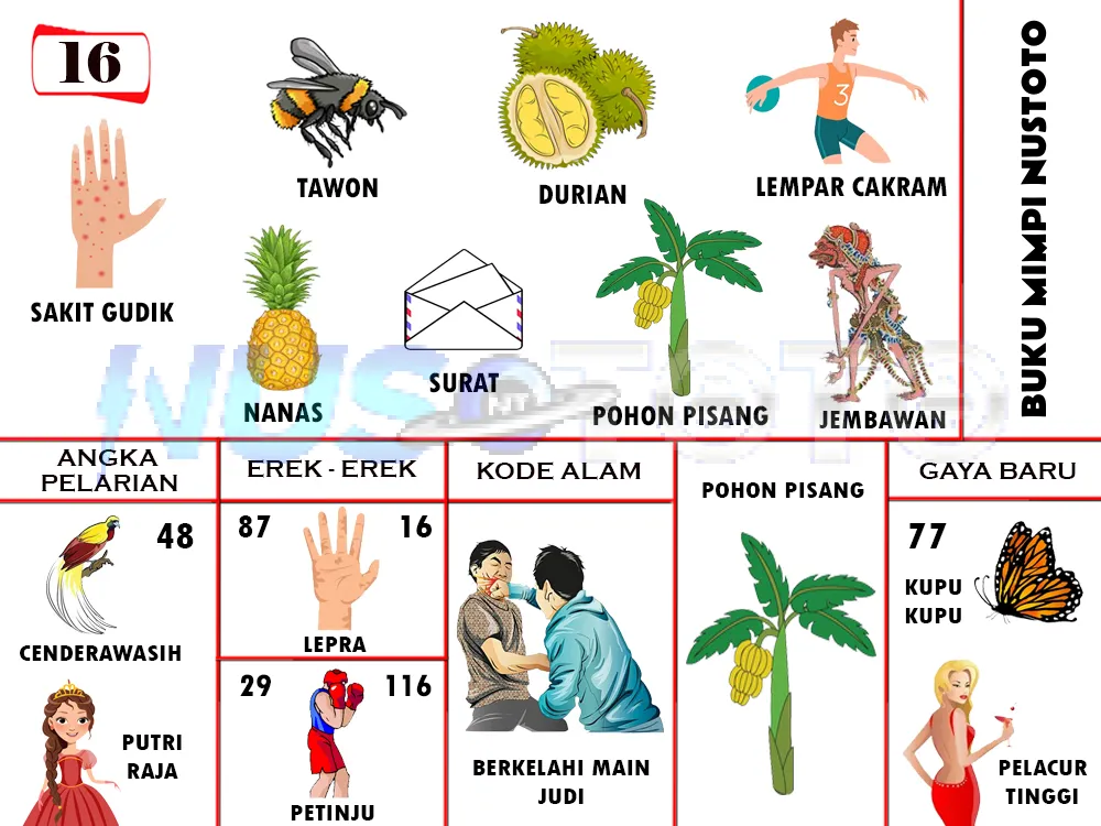 buku mimpi erek erek togel 16