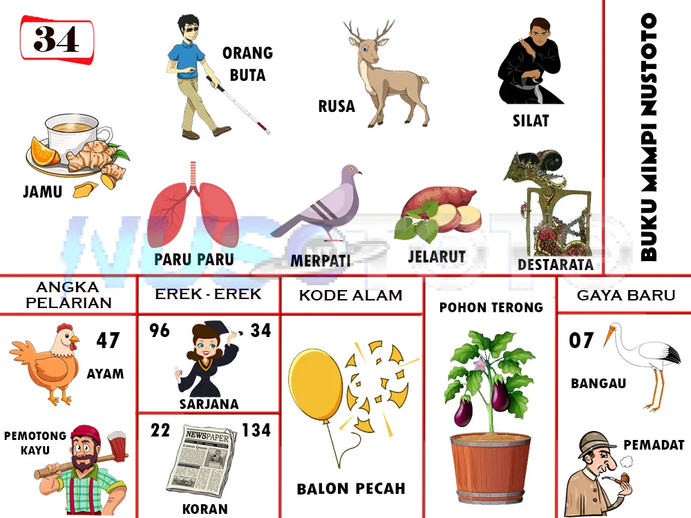 buku mimpi erek erek togel 34