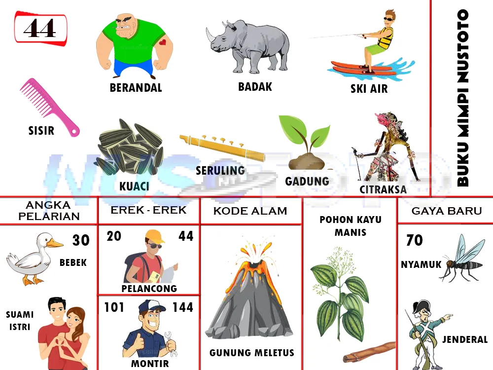 buku mimpi erek erek togel 44