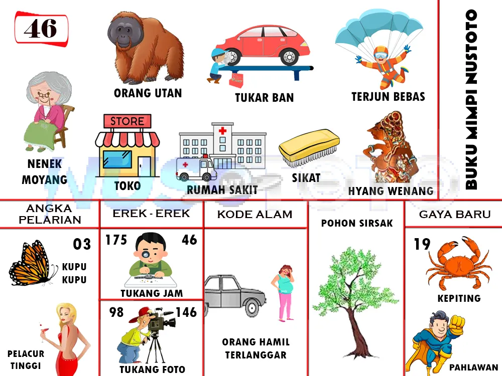 buku mimpi erek erek togel 46