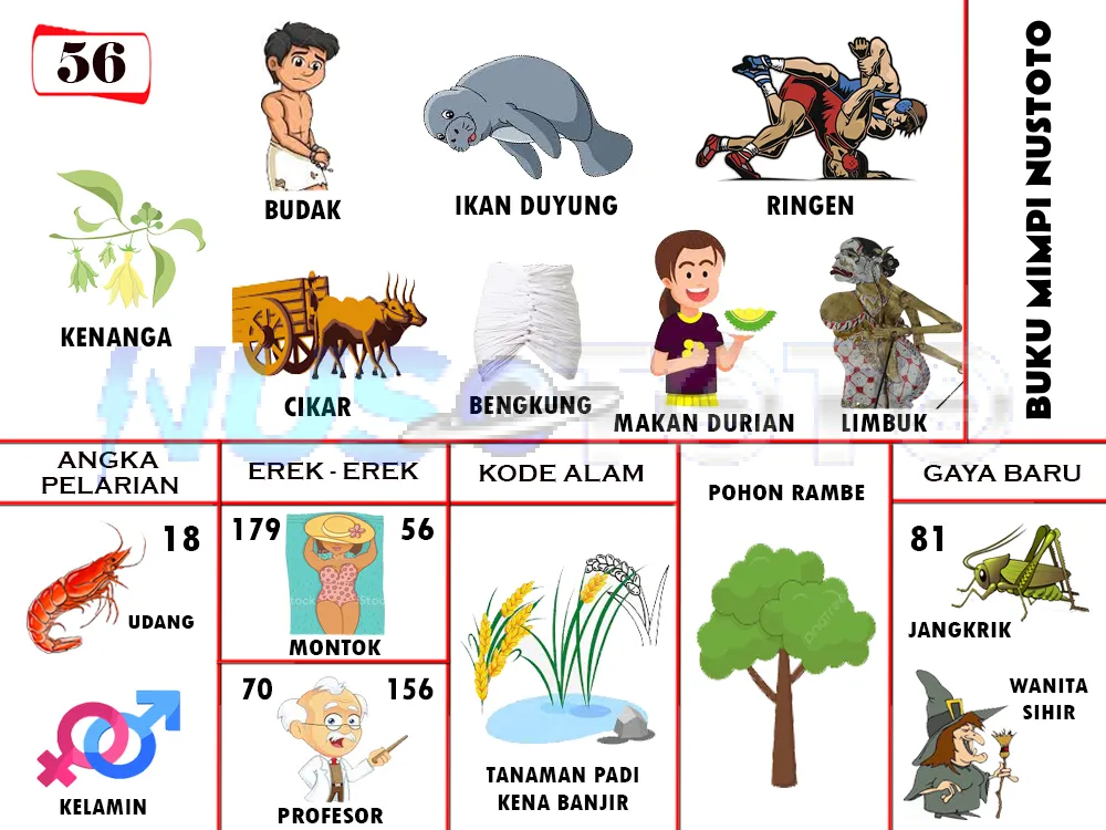 buku mimpi erek erek togel 56