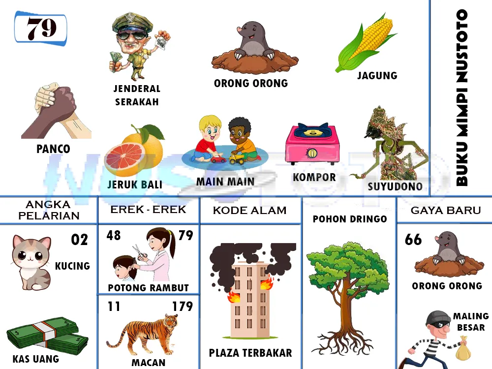buku mimpi erek erek togel 79